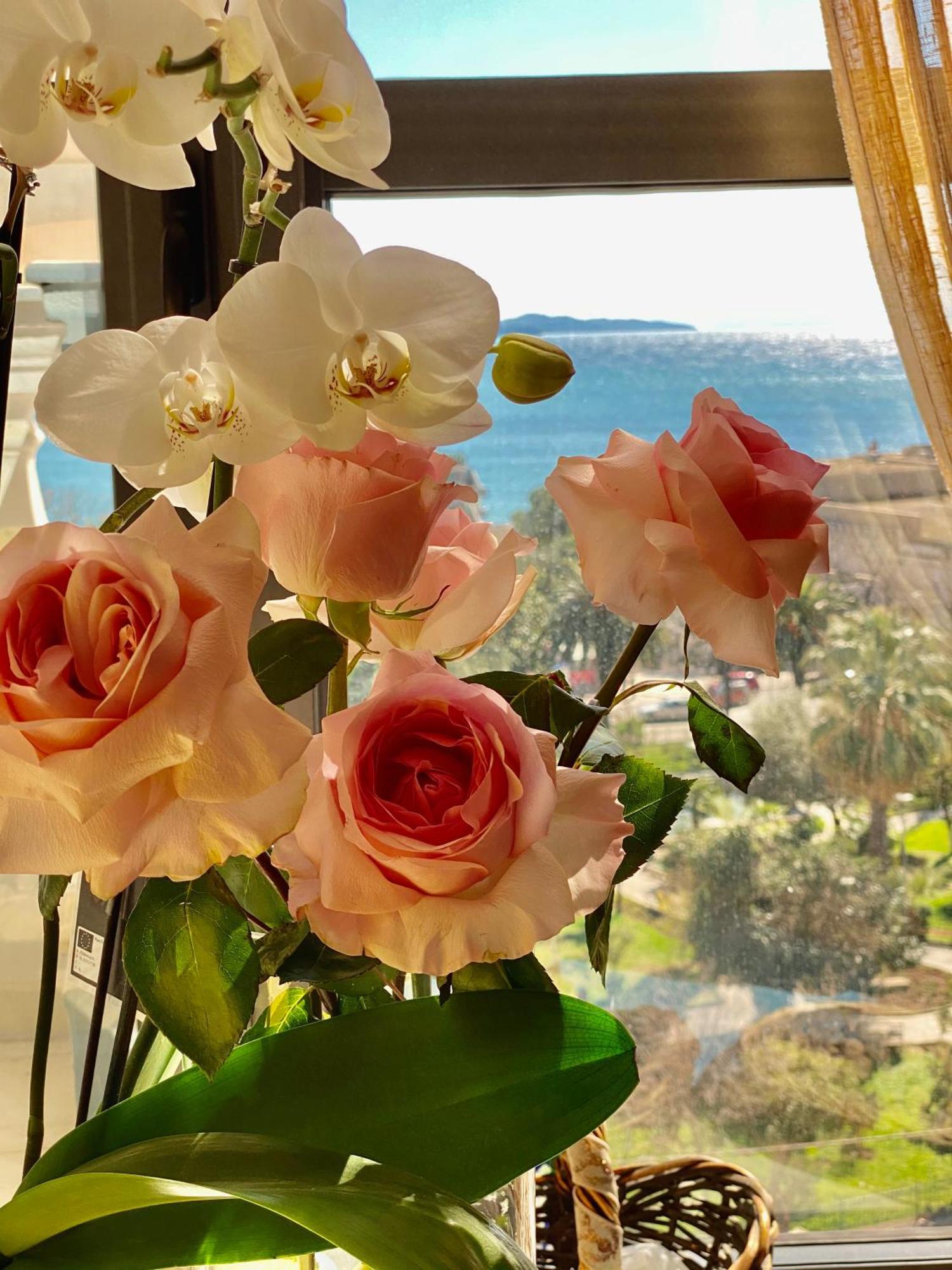 Amarilis Luxury * Sarande
